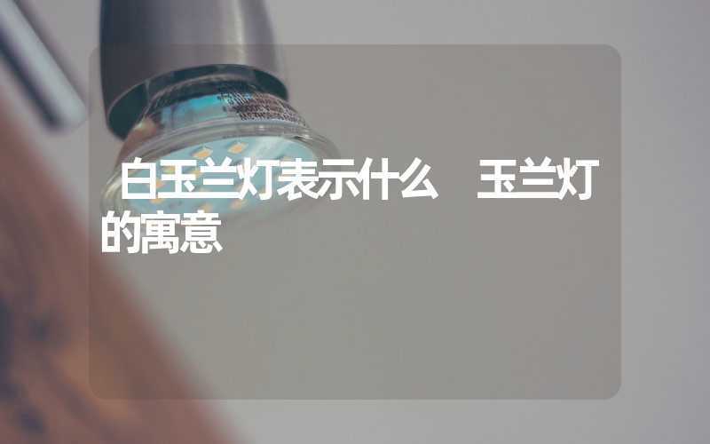 白玉兰灯表示什么 玉兰灯的寓意